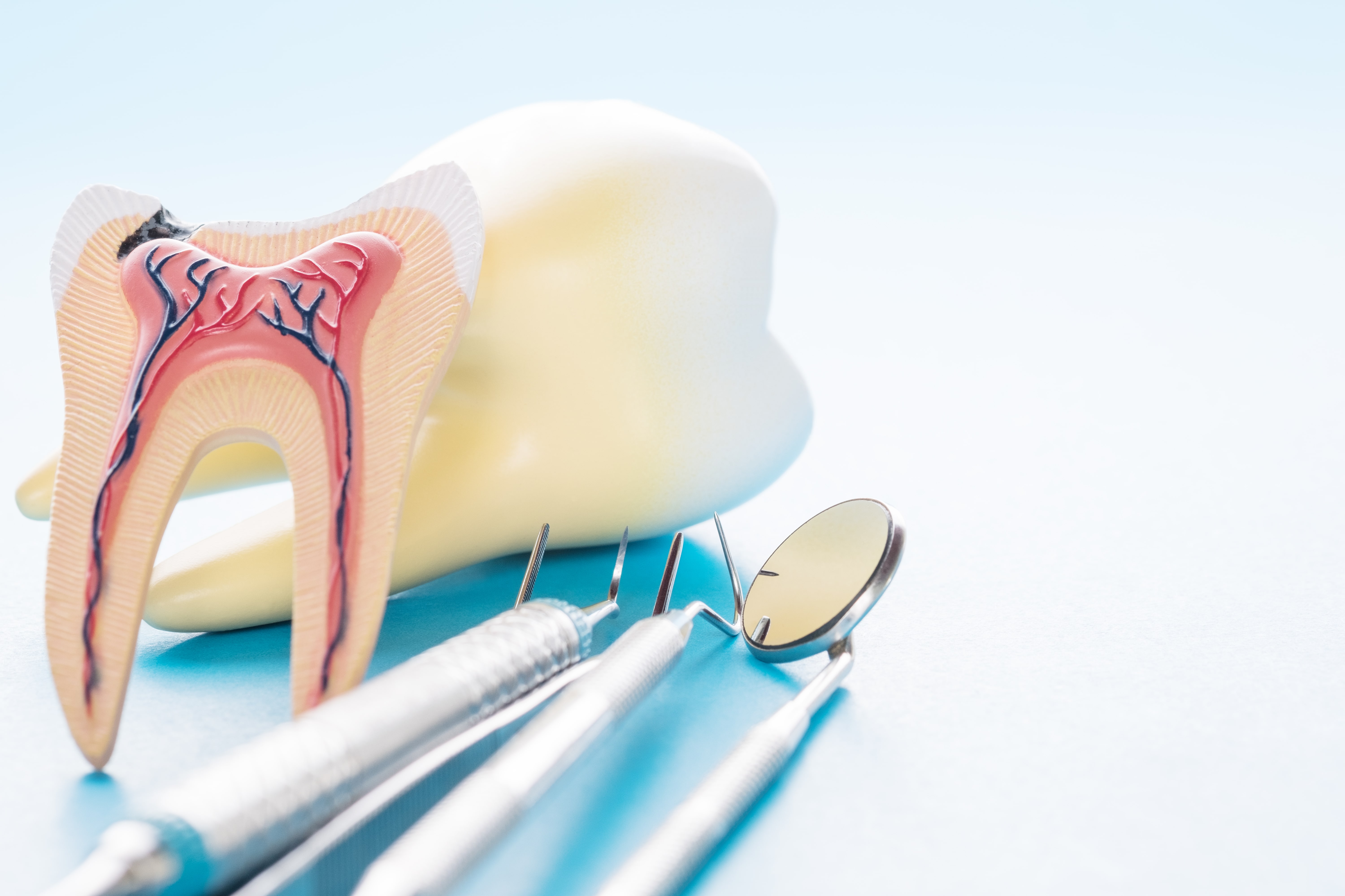 Root Canal: Procedures, Sign, Risks and Treatment