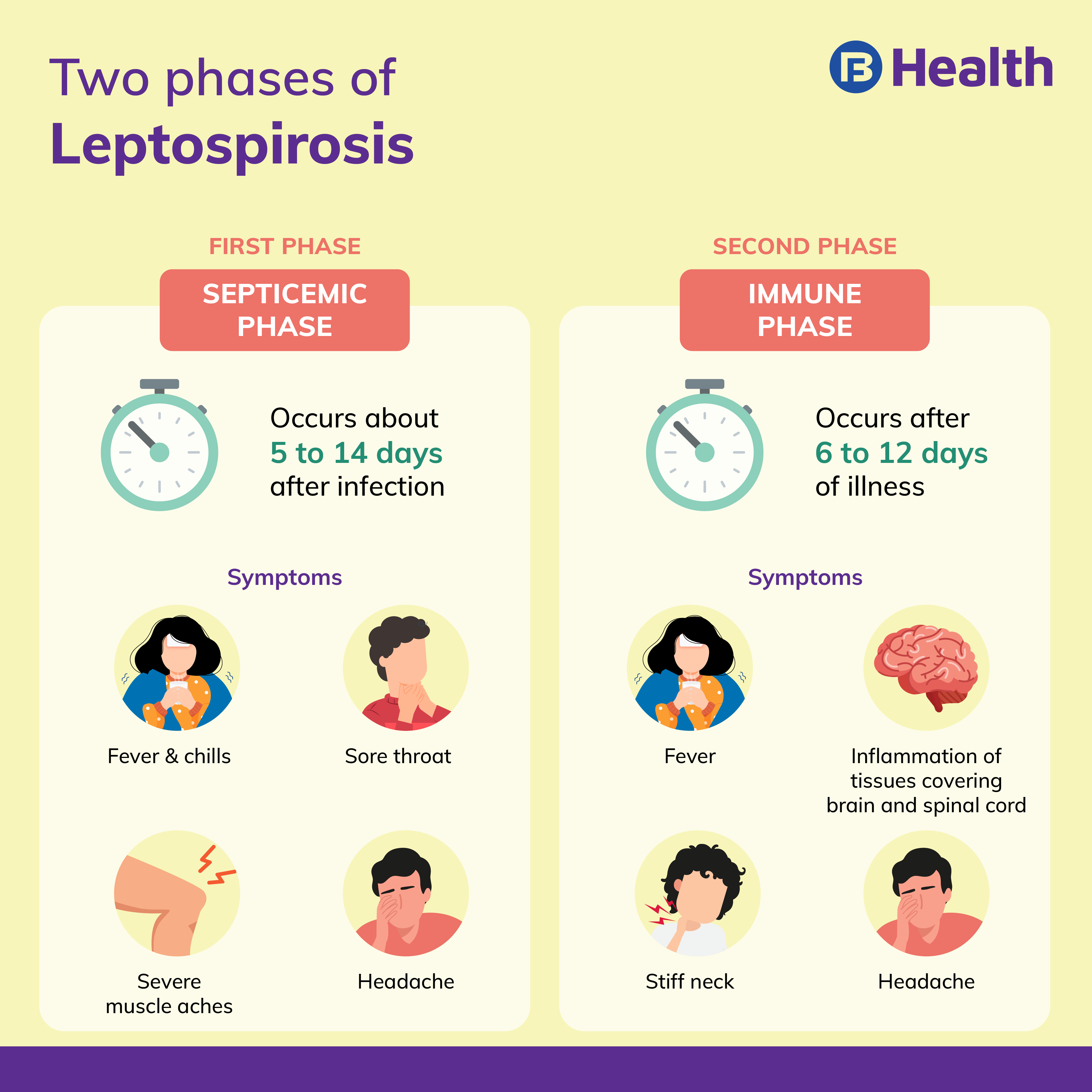 leptospirosis in cats current literature review to guide diagnosis and management