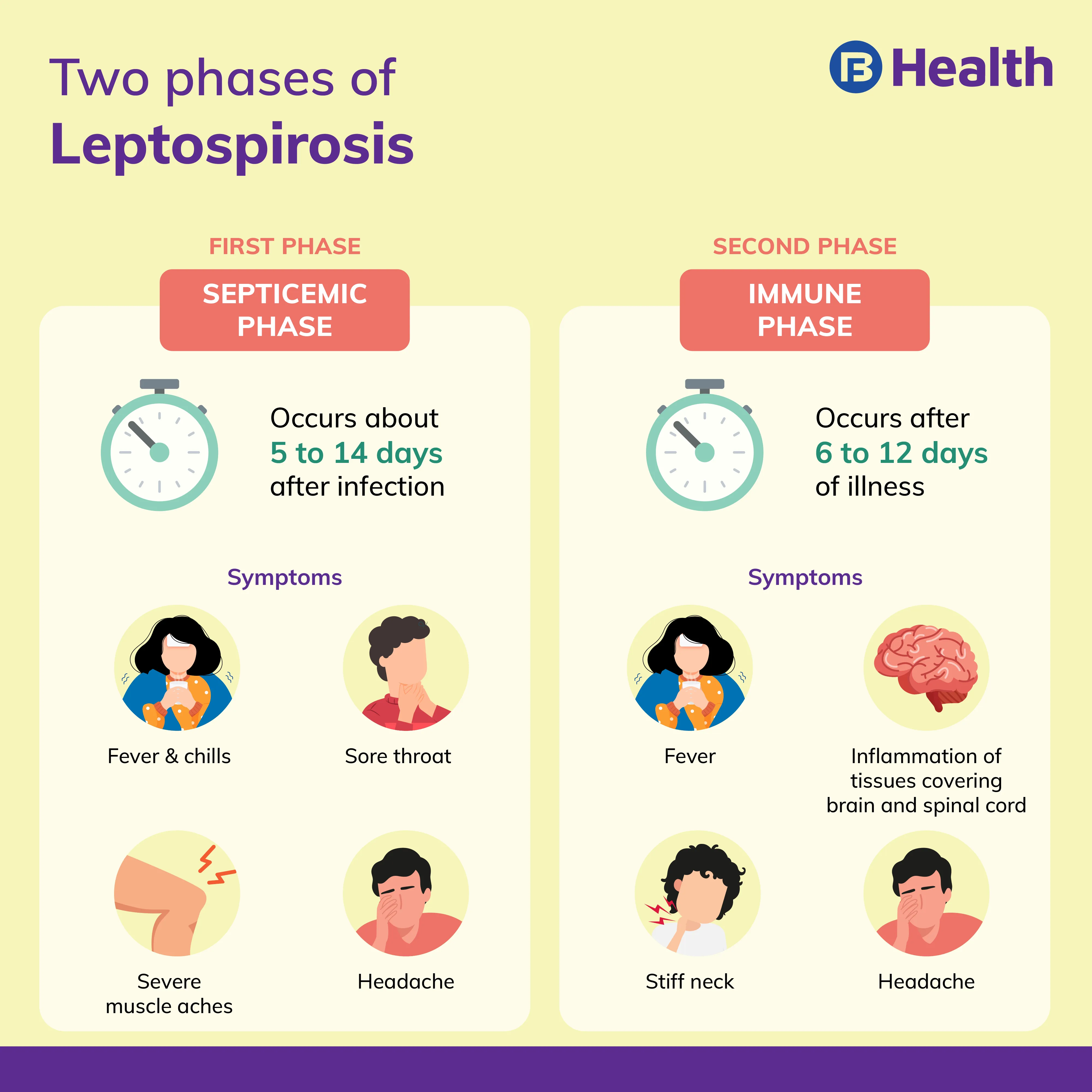 phases of leptospirosis