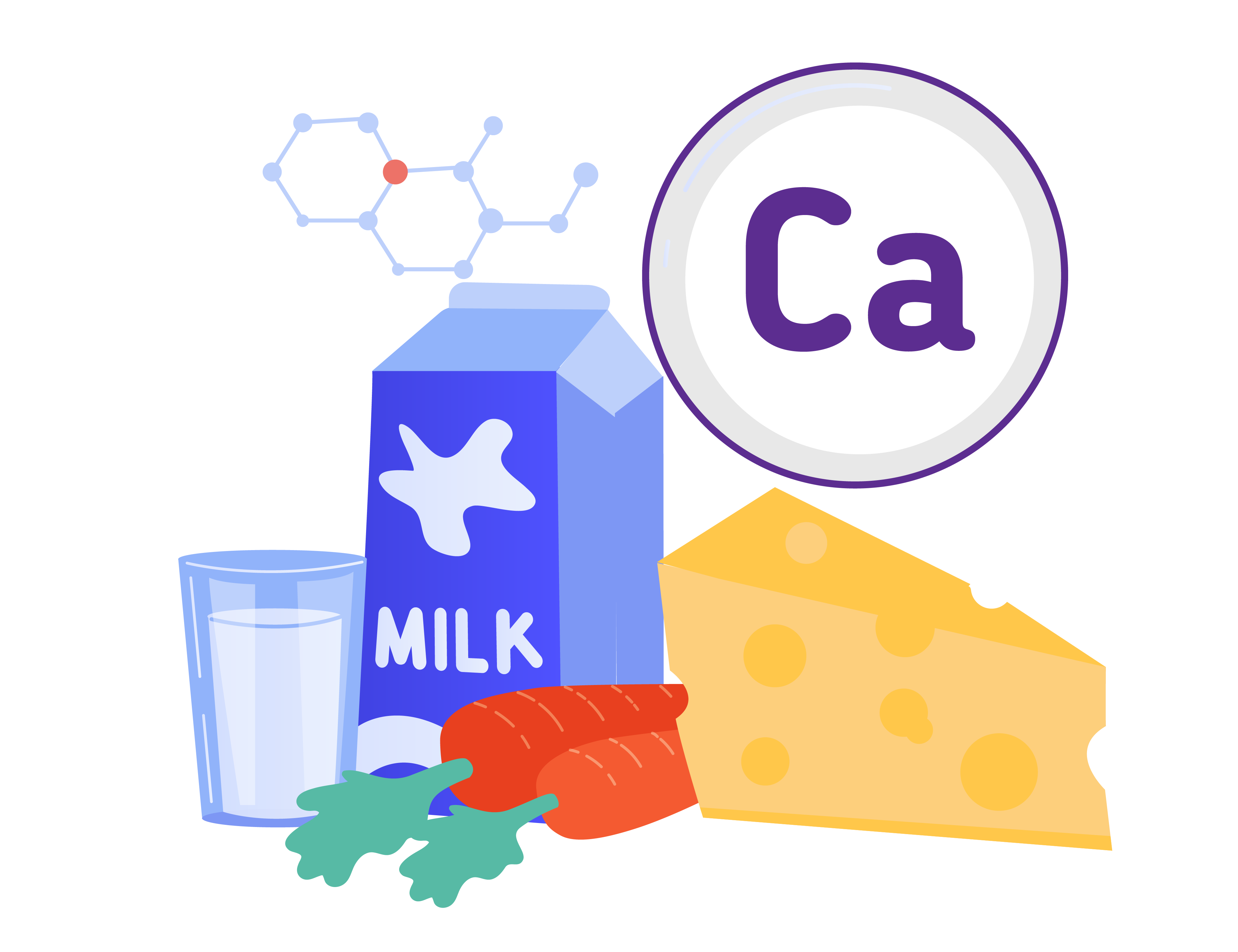 Importance Of Calcium For Women 