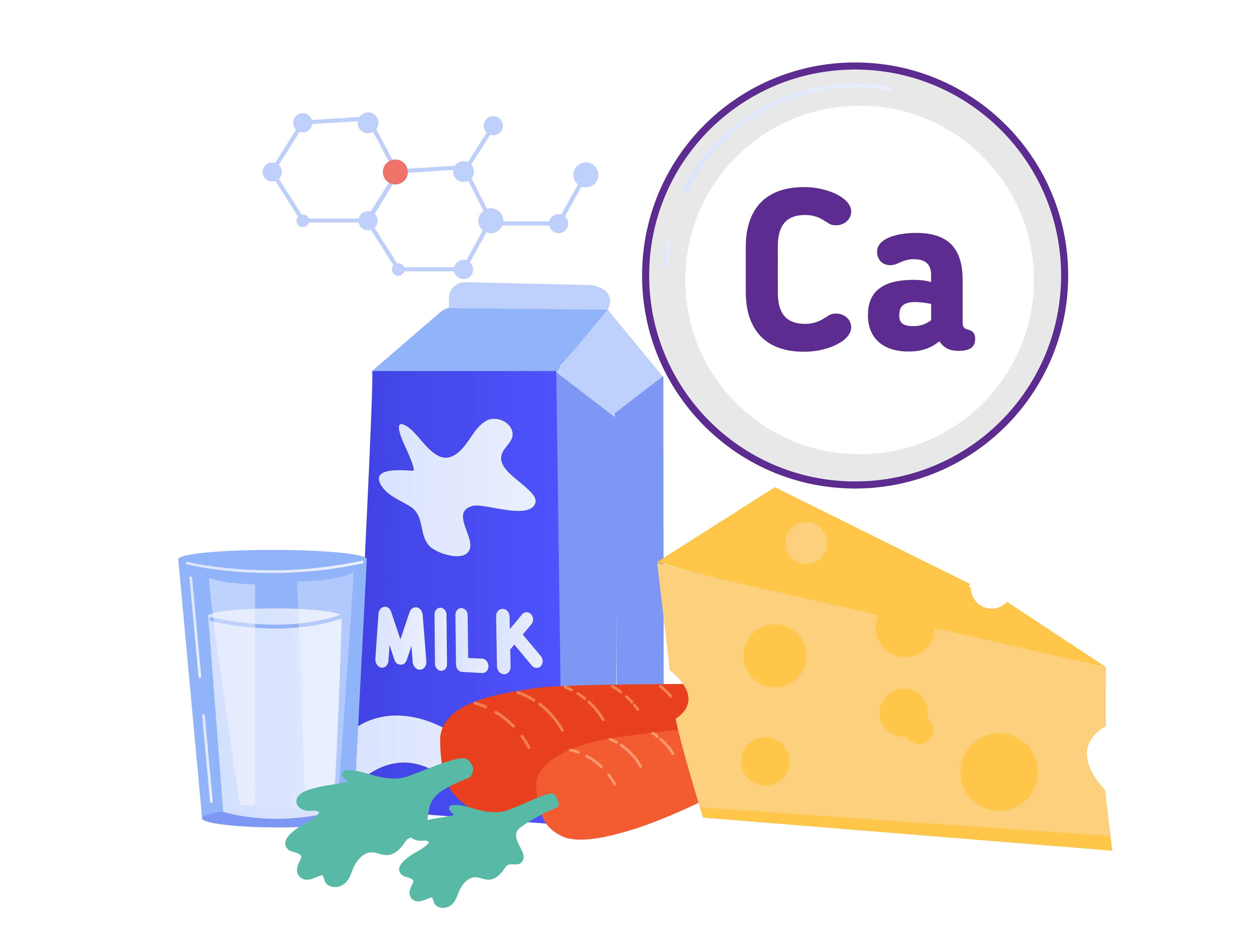 Importance Of Calcium For Women 
