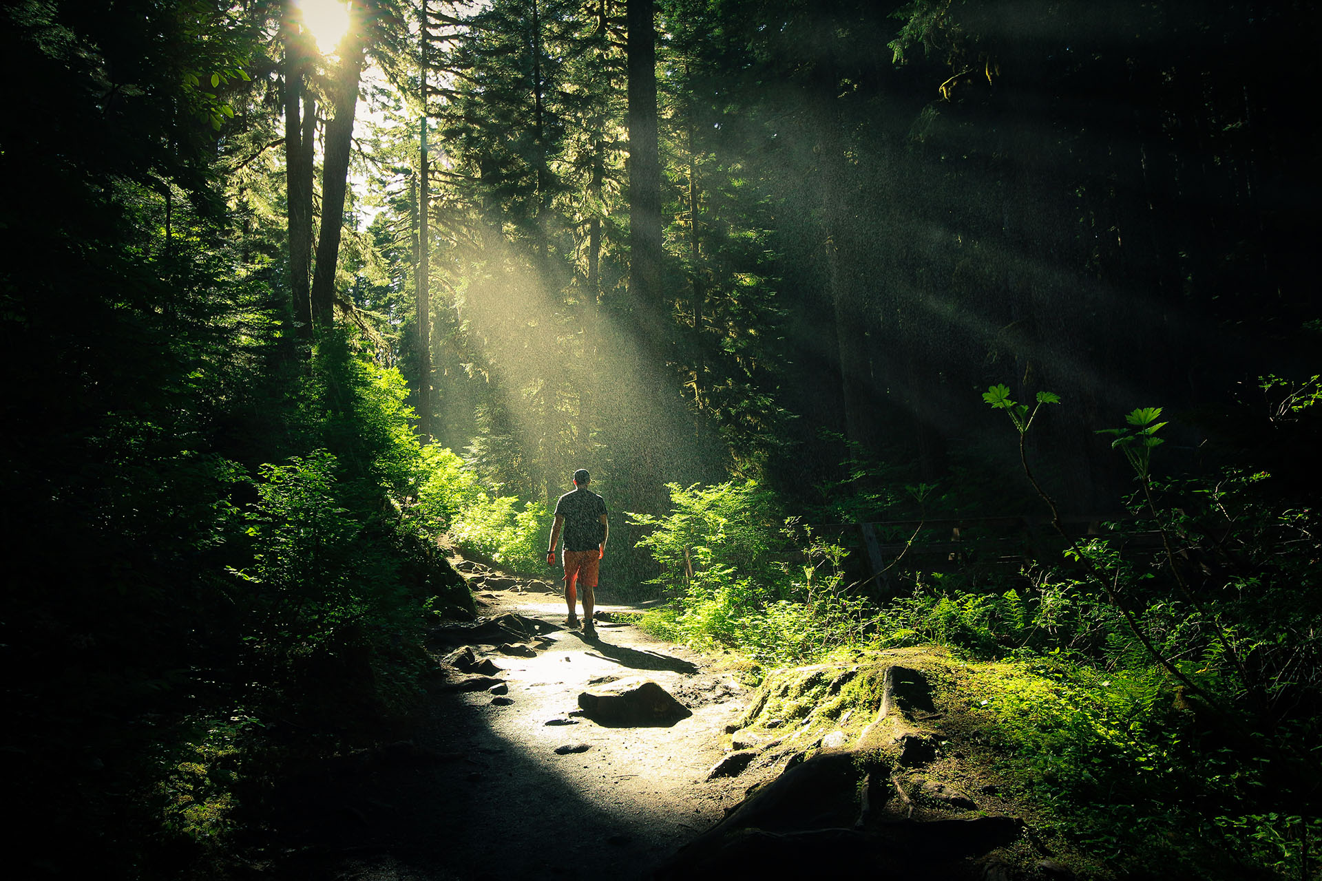 6 Healthy Benefits of Spending Time in Nature to Reduce Stress and Anxiety