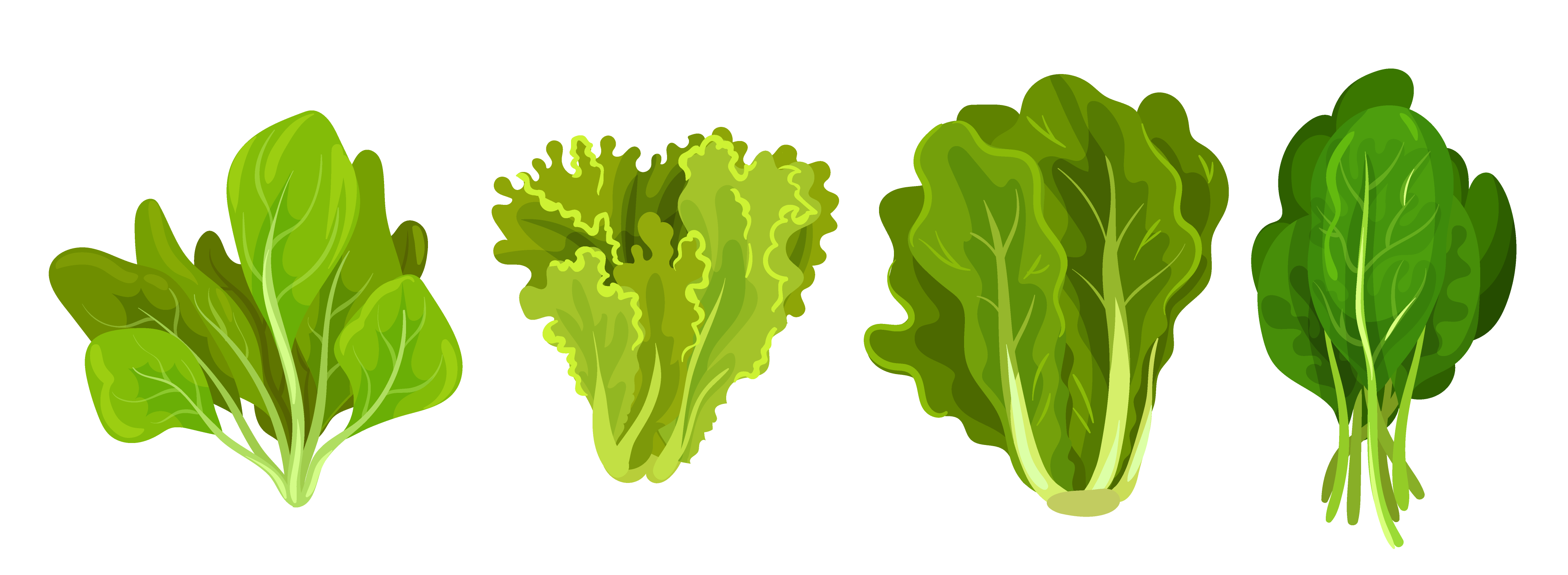 green vegetables for diabetes