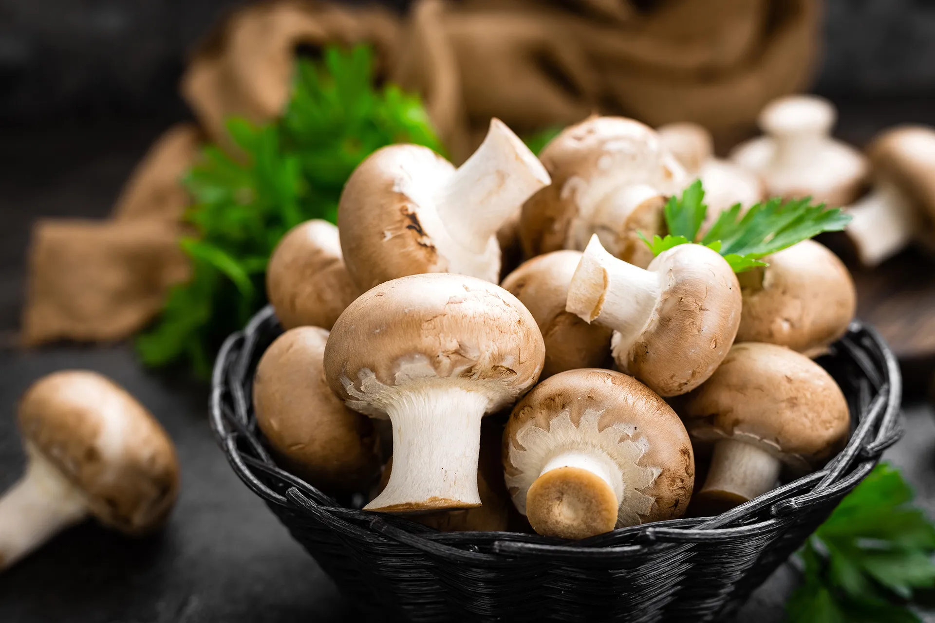 mushrooms health benefits