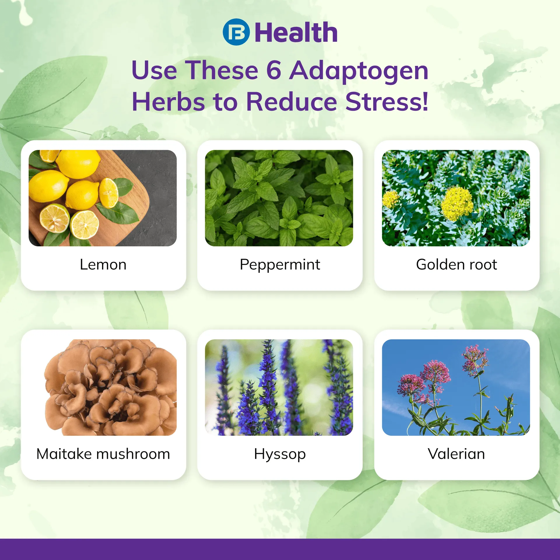 Adaptogen herbs to reduce stress