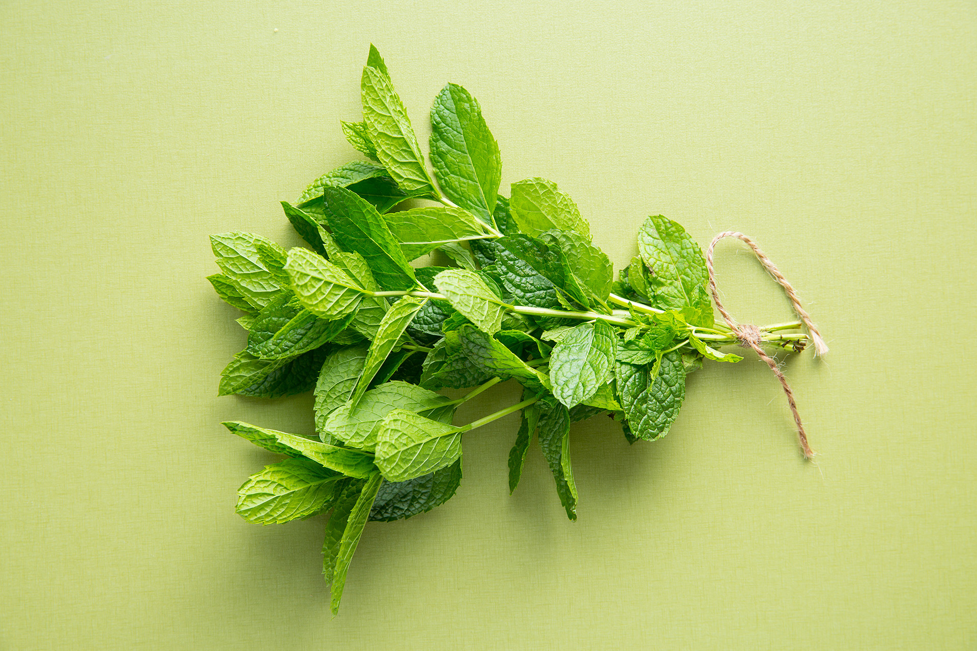 5 Amazing Benefits Of Mint For Skin And Hair  DIY Remedies