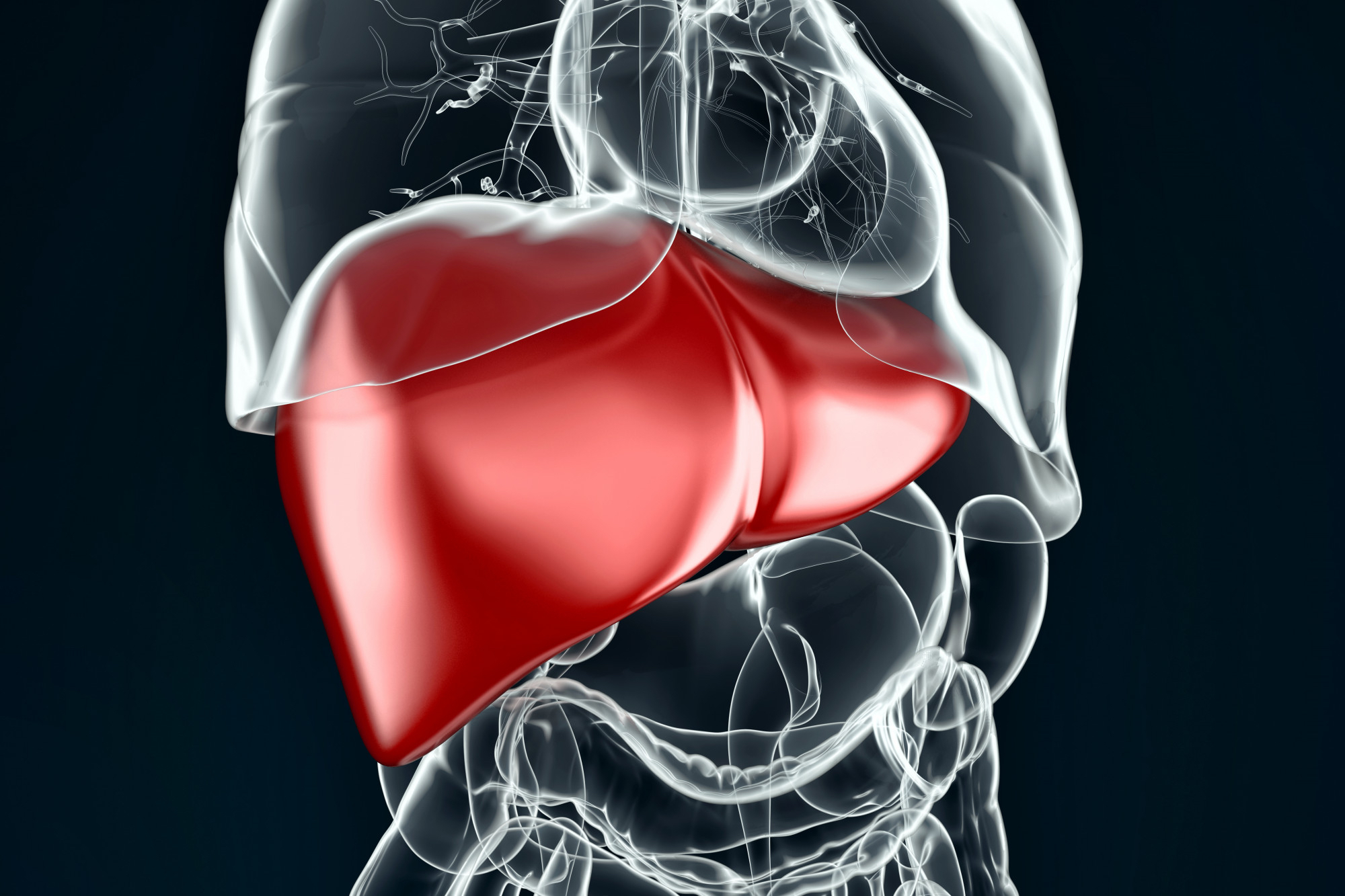 Aspartate Aminotransferase Blood Testing: Procedures and Normal Range