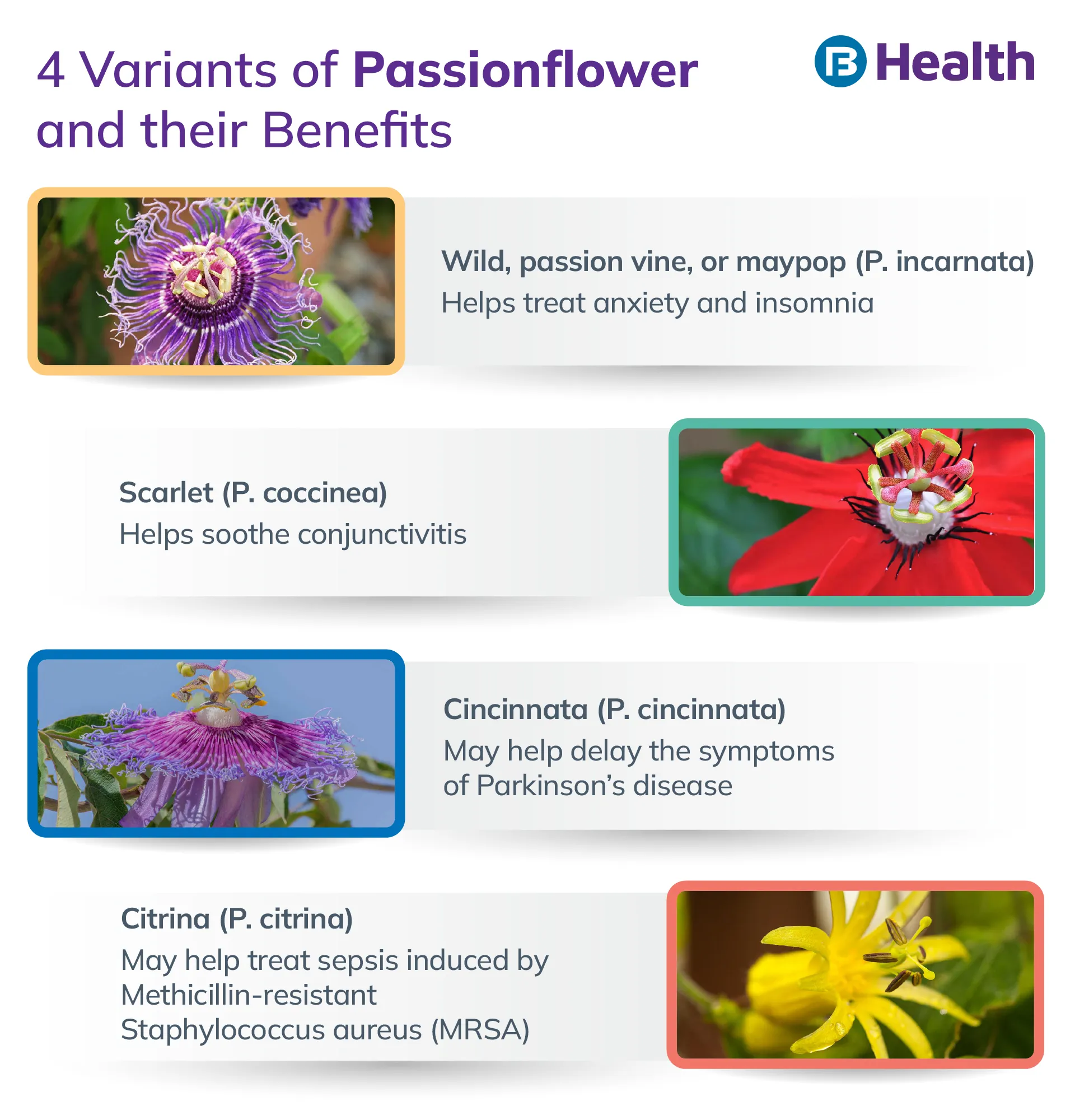 Passionflower variants and their benefits