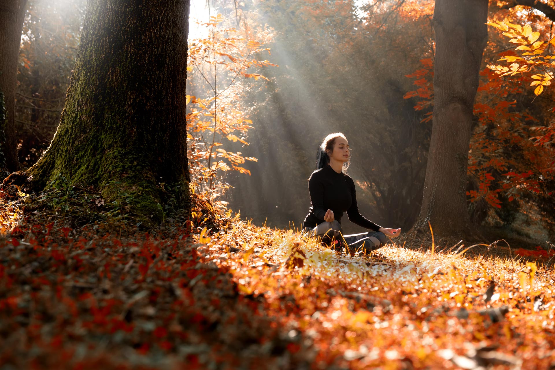 Best Autumn Yoga Tips, Exercises, and Benefits