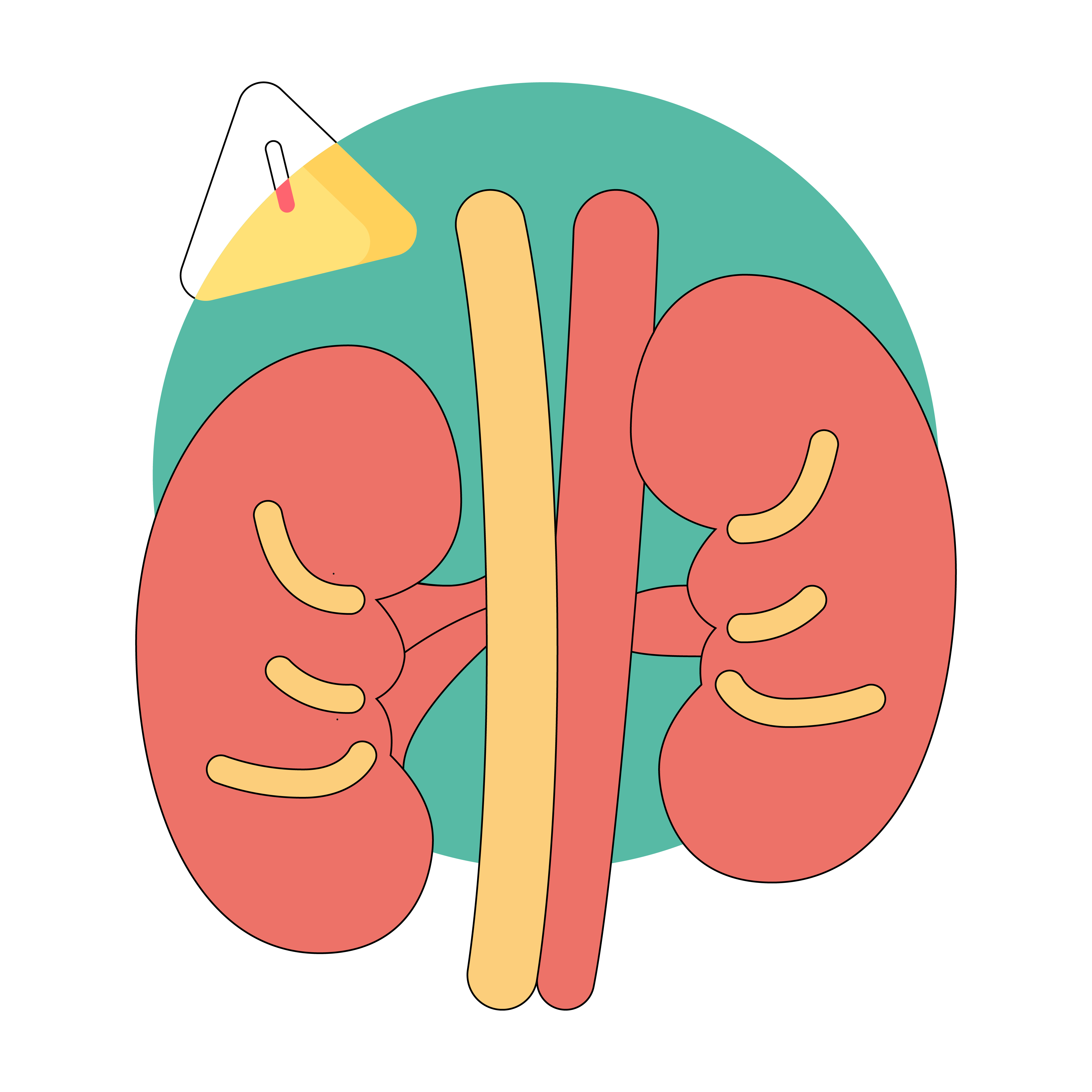 kidney-failure-symptoms-causes-types-and-stages