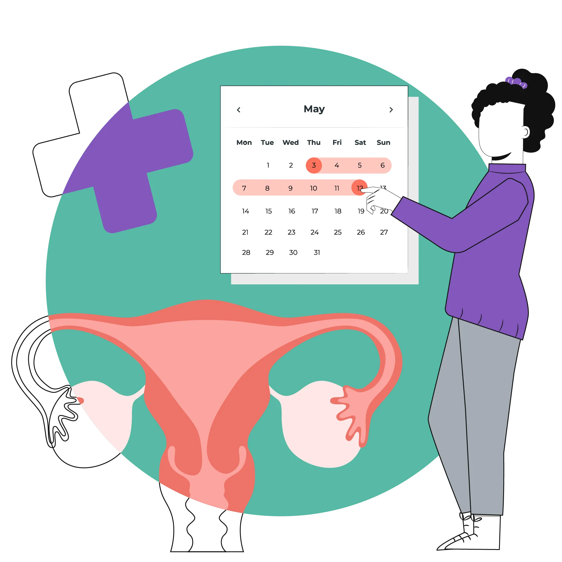 A guide to Menstrual Cycle 