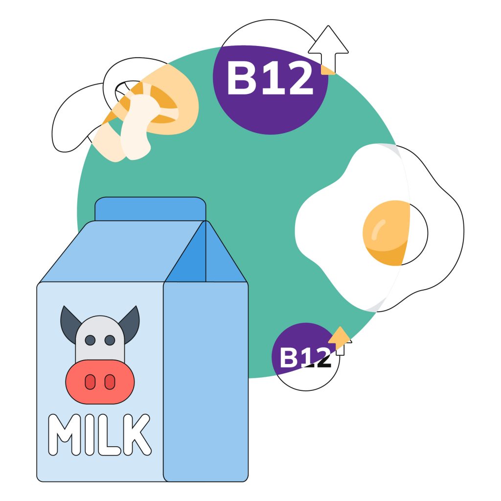 Vitamin B12 Foods Fruits, Vegetables, Dry Fruits and Benefits