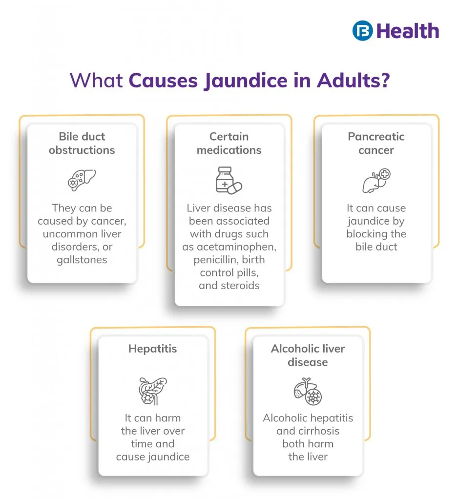 Jaundice Symptoms and Causes