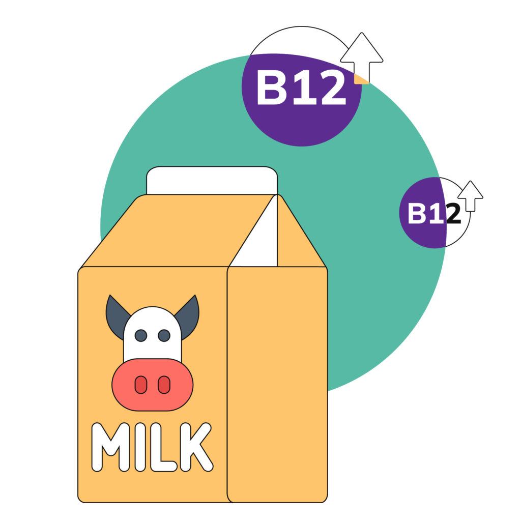 8Dec-Milk Protein Isolate: