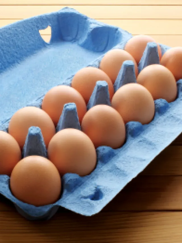 Egg - The Protein Powerhouse