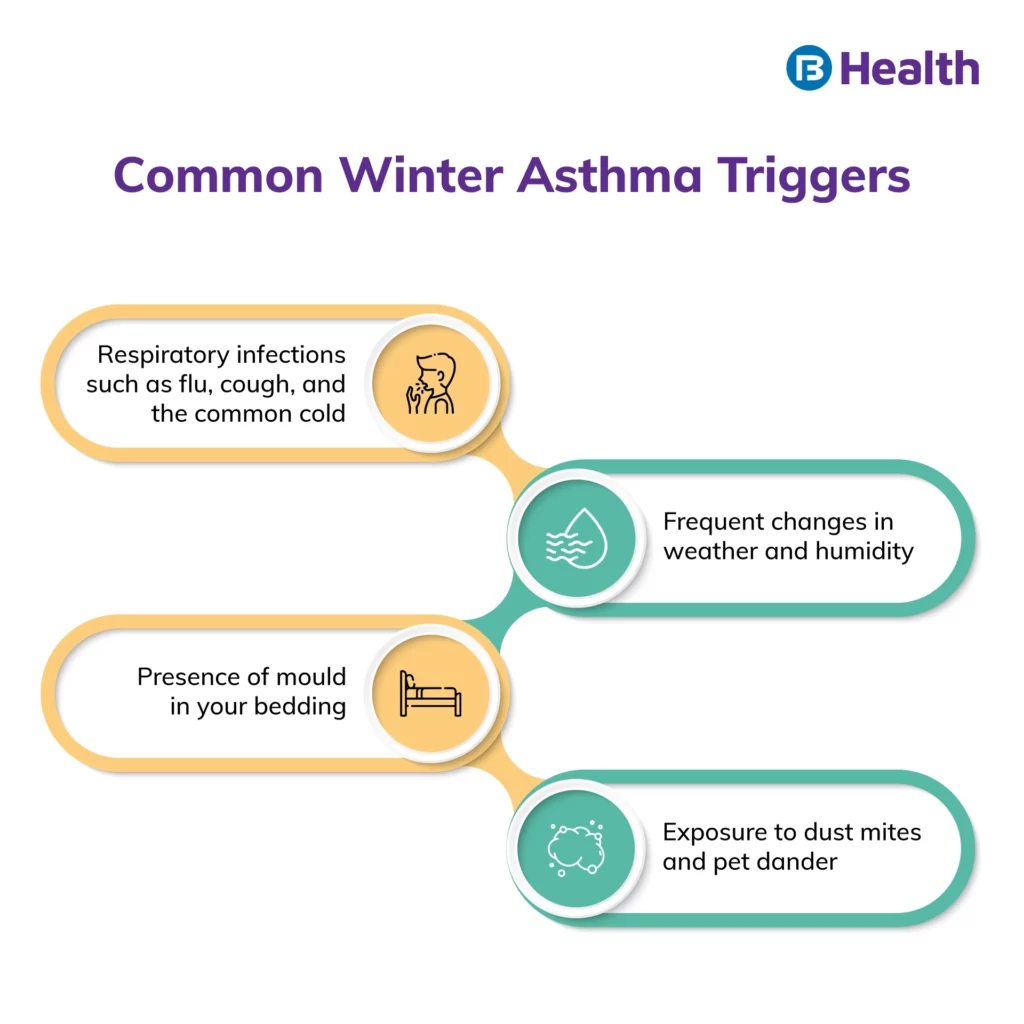 Winter Asthma Triggers Infographic