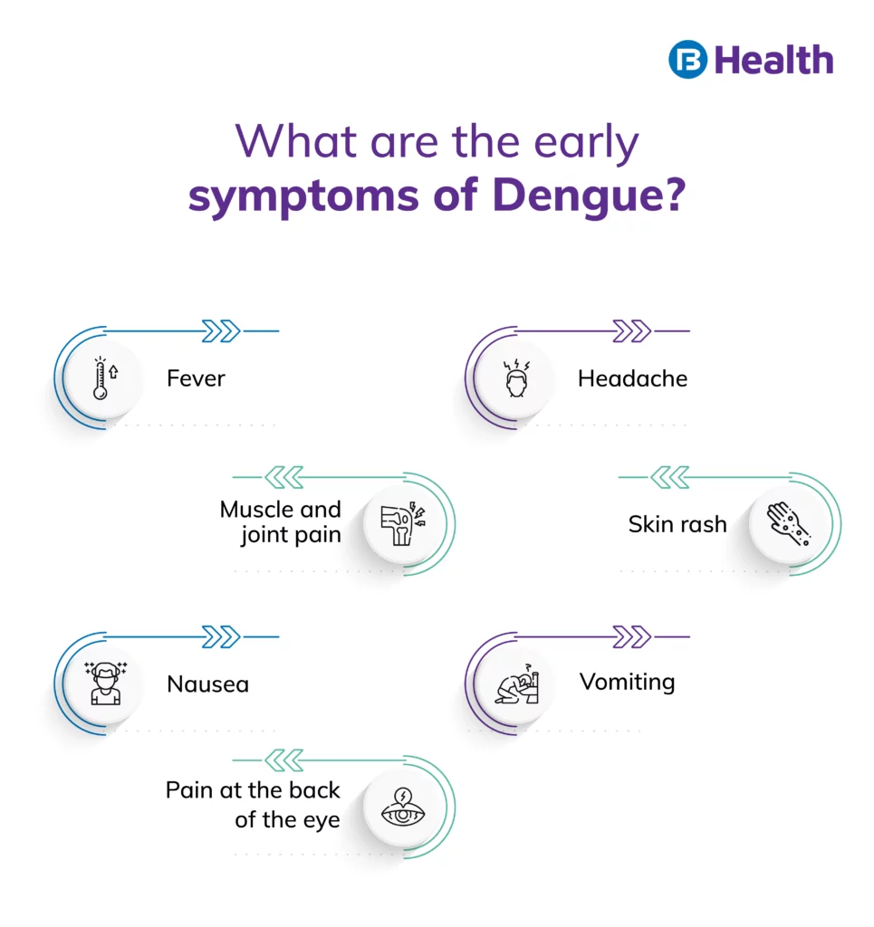 Warning Signs of Dengue Fever Infographic