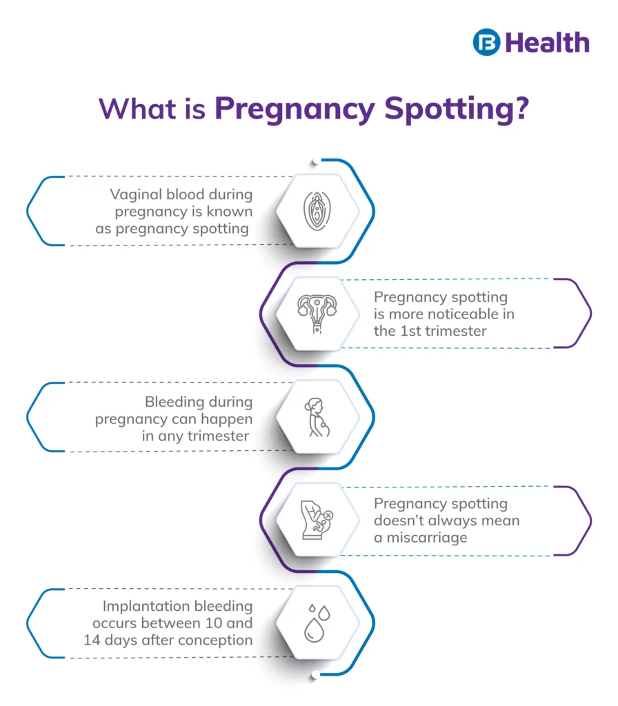 What is Pregnancy Spotting Infographic