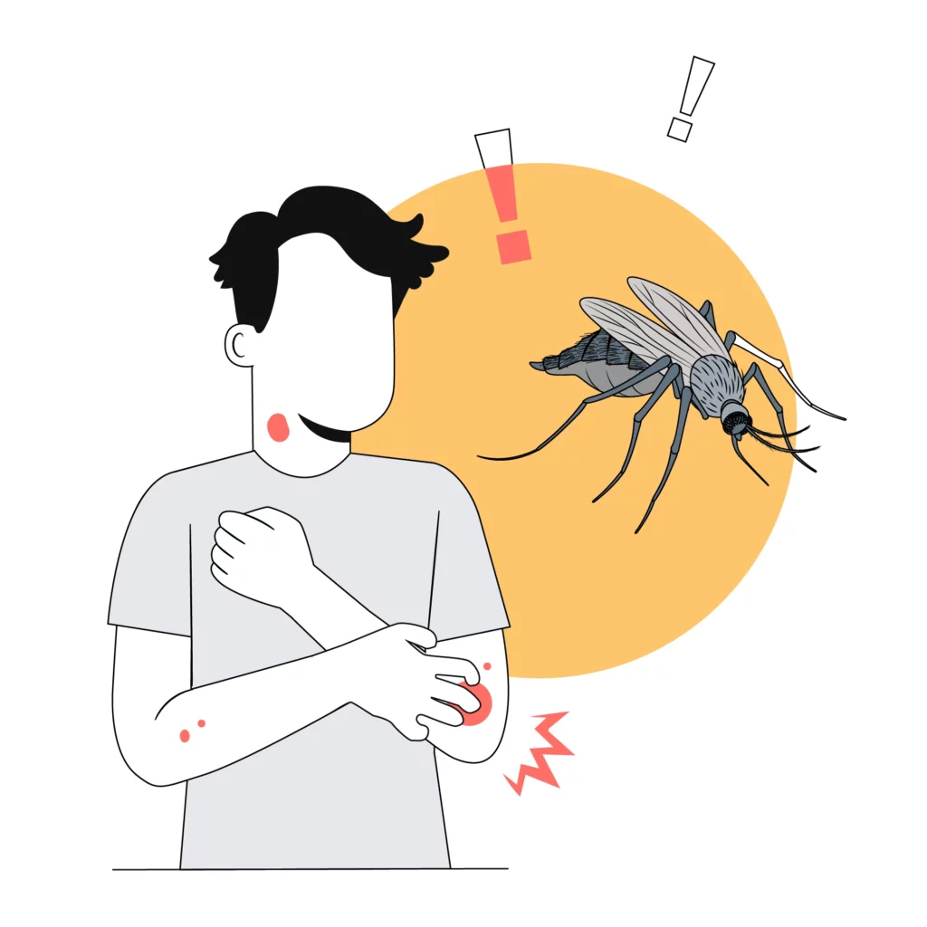  Dengue Symptoms and Risks