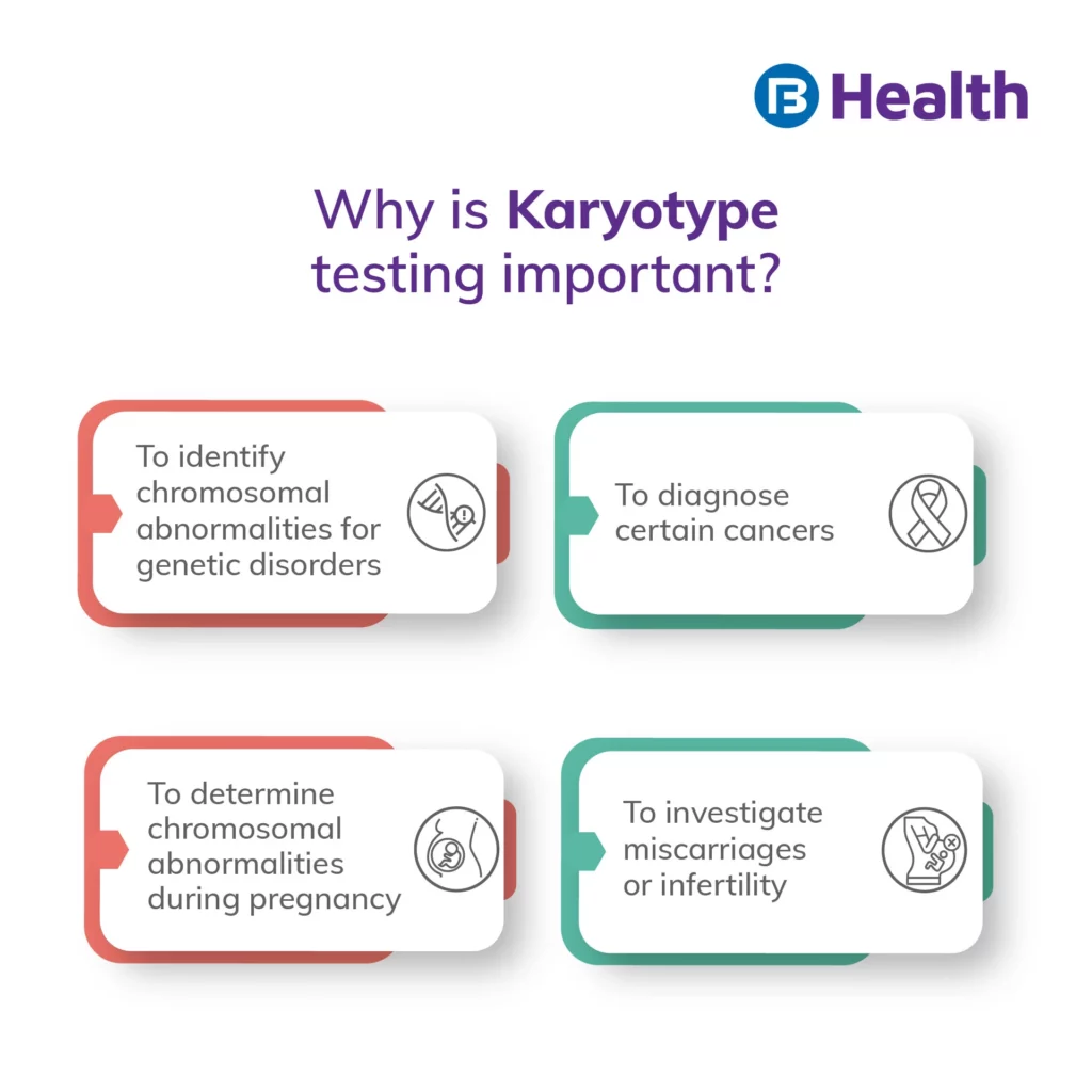 why is Karyotype testing Important infographic
