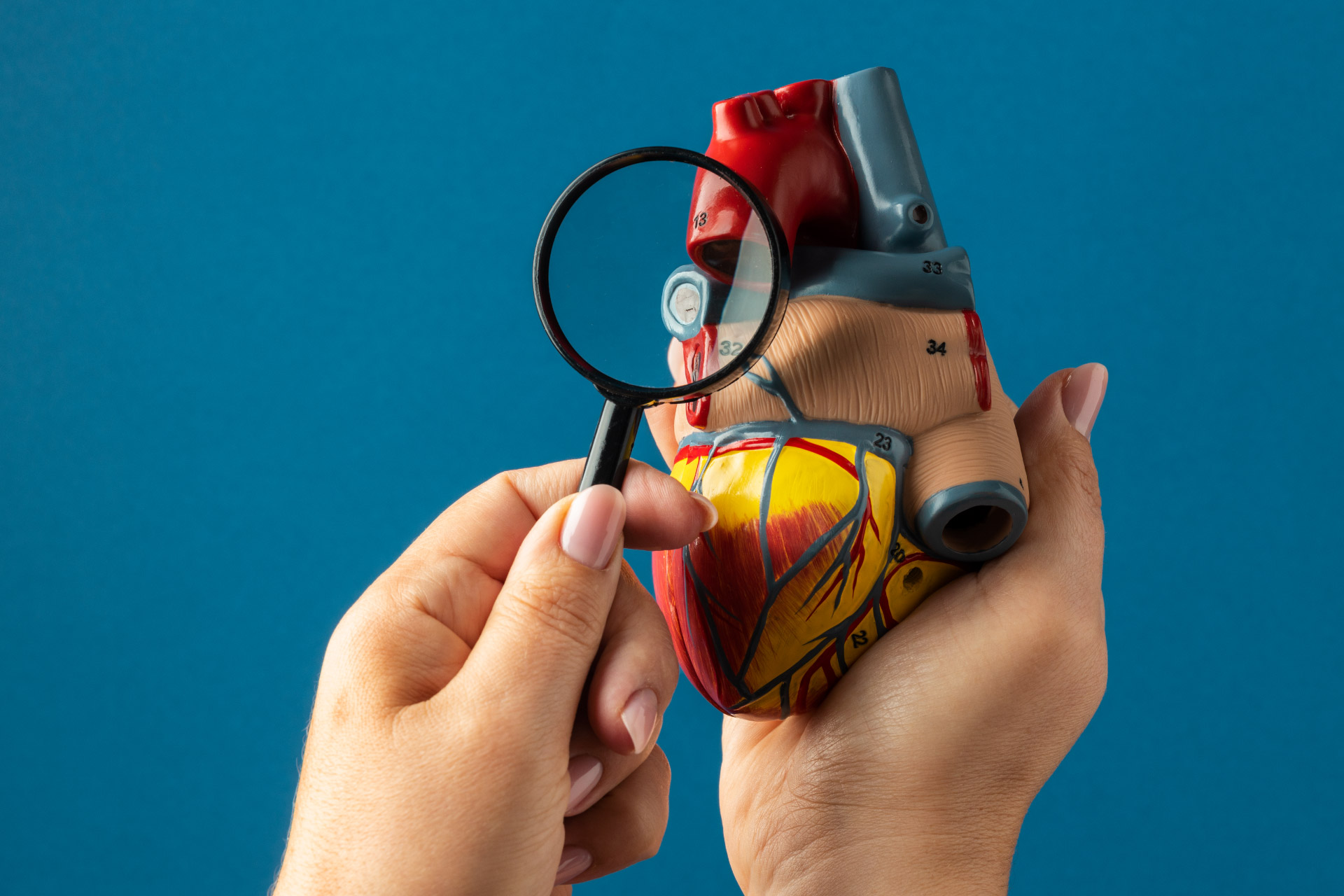 Revolutionizing Access to TAVR: Bajaj Finance Transforming Cardiac Surgeries with Easy EMIs